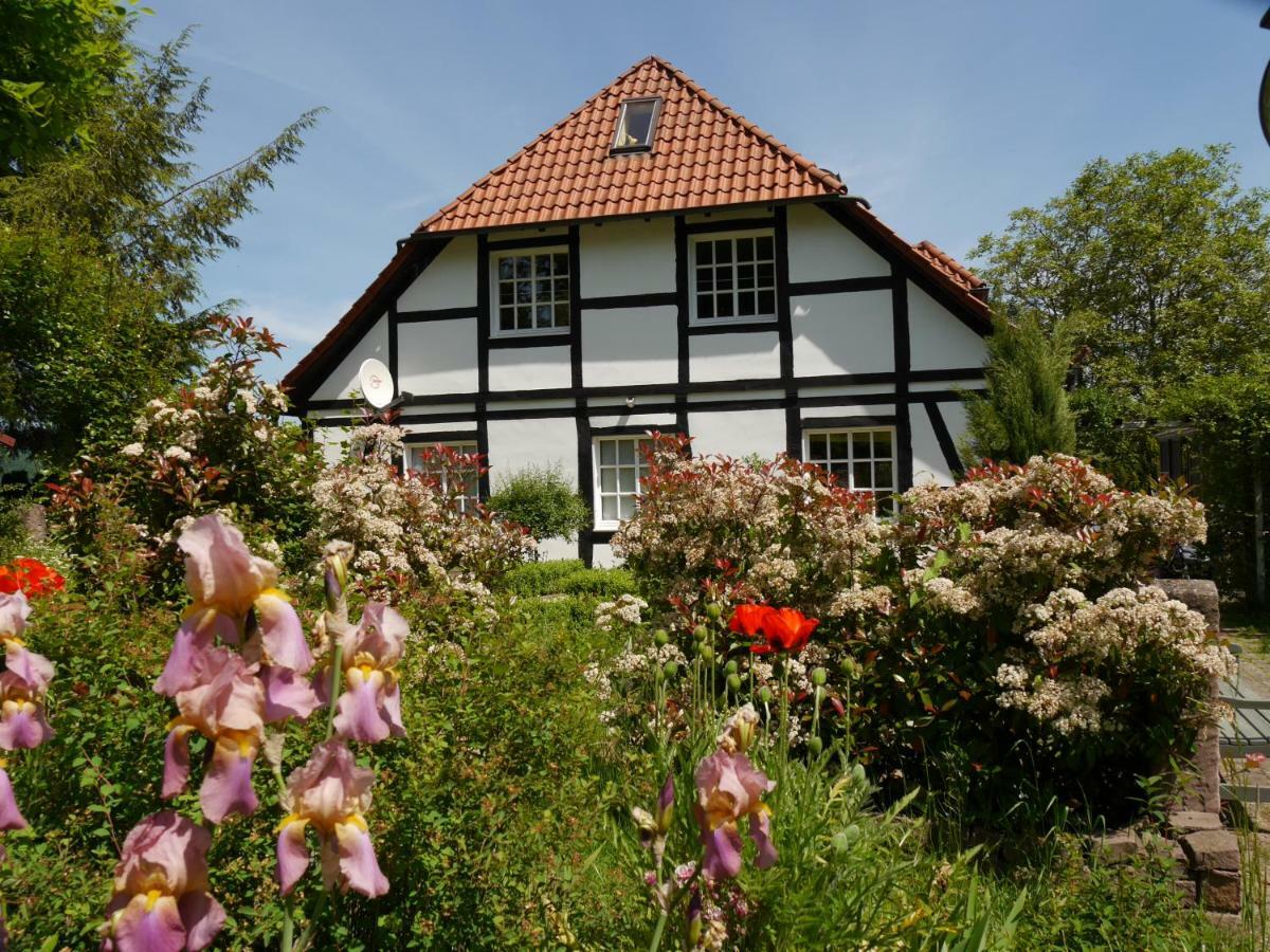 Ferienwohnung Weserblick Polle 외부 사진